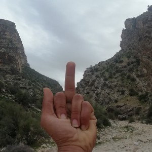 زندگی رپی