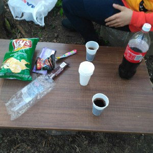 в лесу