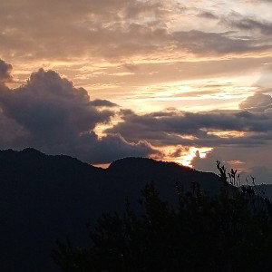 olvidó mí pensar'