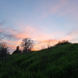 No Mo_21-03