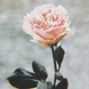 M1ss you