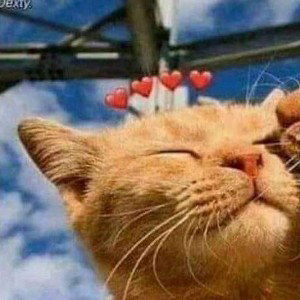 📌also you📌