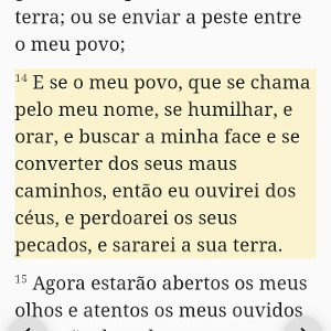 um presidente( falso messias)