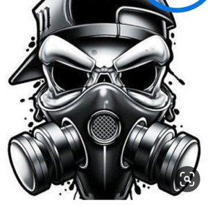 freestyle n