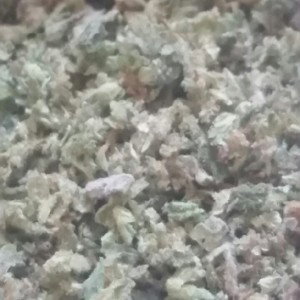 Smokin Weed