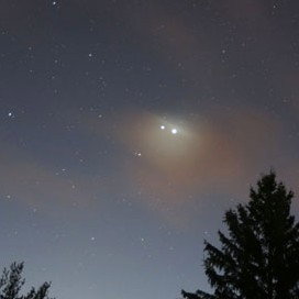 Venus