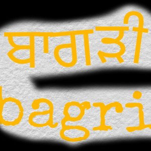 Badle sajan