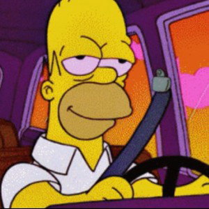 Crash The Whip