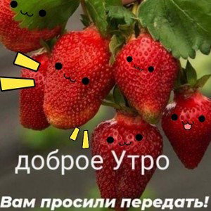  😜Білка😜