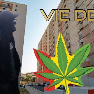 Vie De Cité