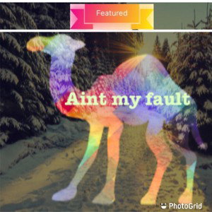 Ain’t my fault