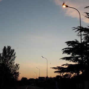 beta 1