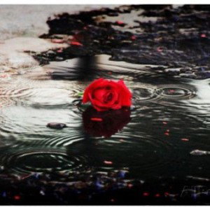 Reflection