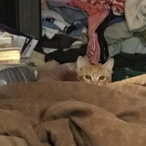 StreetHU (19:44)