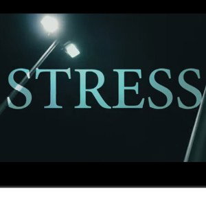 STRESS (prod. EMDE51 & Taiga)