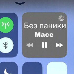 Паникуем