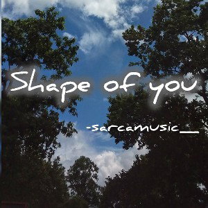 SHAPE OF U:)