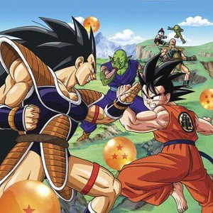 DBZ 313