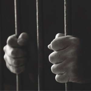 Criminal Mind