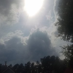 Fliegen
