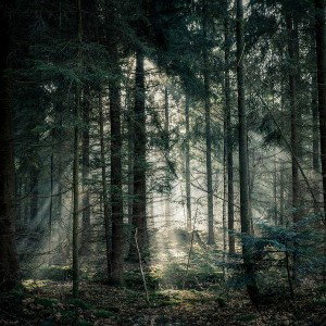 S̷I̷C̷K̷N̷E̷S̷S̷ ft. DИΞLL - LONELY 💜💜 [REMASTERED]