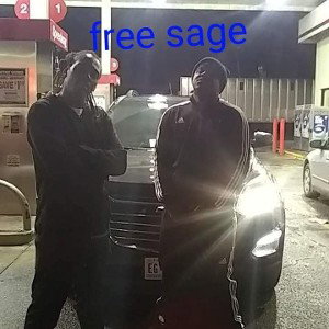 Free Sage