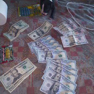 I need some clothes though