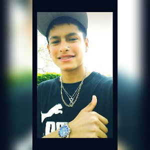 sistema