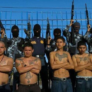 🇲🇽🍻🤪moñito lps🍁🎮🕹️🚬 - 🏴‍☠️🇲🇽🗡️la proleska club🇲🇽🎙️