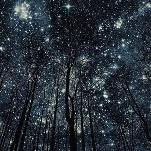 STARLIGHT