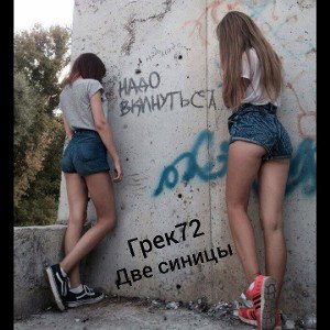 Две синицы