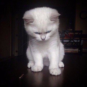 Неизвестный 