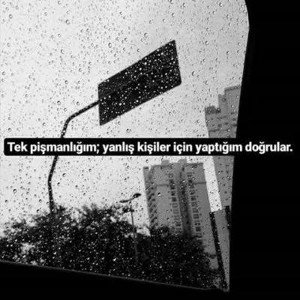 Hayaller ve Hayatlar