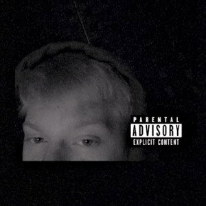 The Mob (Big Snippet)