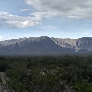 Al Alba