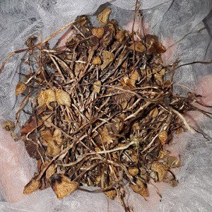 они называют это, пропаганда мета....