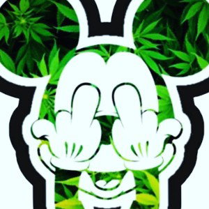 🤩🤩🤑🤑dirtymoney🤑🤑🤩🤩