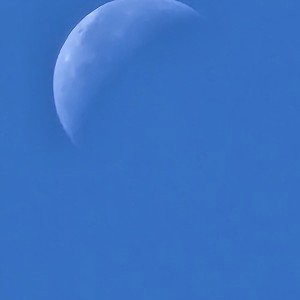 Purpl_12-40