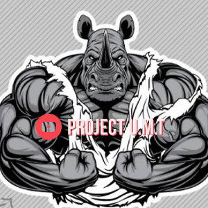 AngryRhino