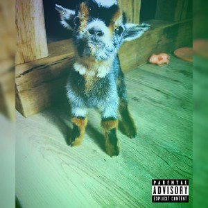 Caterpillar (prod.Yhkra)