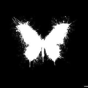 🎶🔥!!-🦋-!!🔥🎶