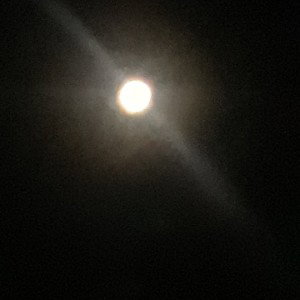  Staring at the Moon