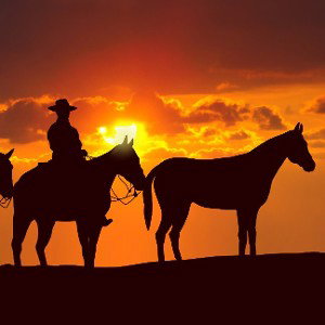 🐴 Cowboy 🐴