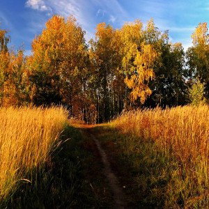Времена года-🍁Осень🍁