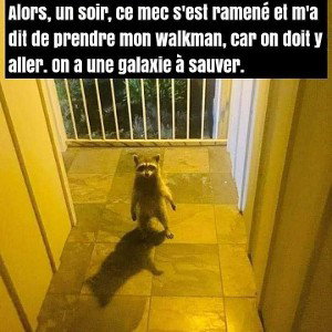 alor j'ai posé mon join et je suis partie sauvez la galaxie#fort#arriver#🐺🐺