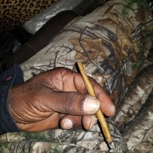 💨wEEd  drEAmZ💨