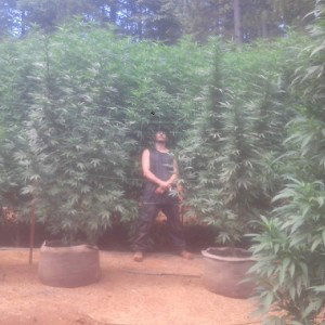 about a week new