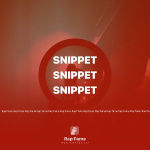 Snippet 