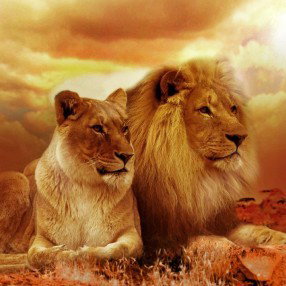 Asslan - Ma Lionne
