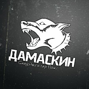звери